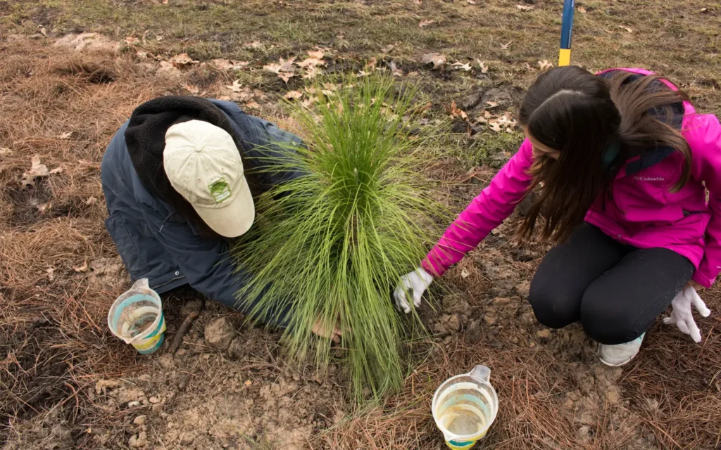 Trees for Houston planting at Memorial Park
