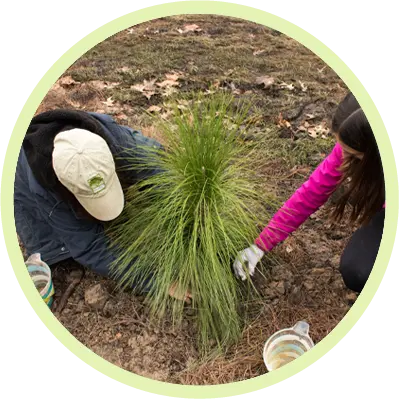 Trees for Houston planting at Memorial Park