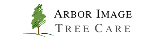 Arbor Image Tree Care