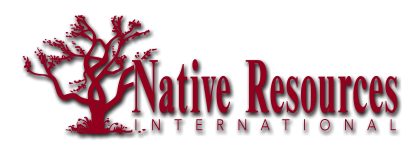 NRI logo