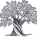 heritage-olive-trees