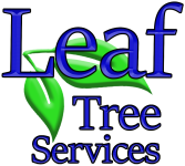 tree-care-services
