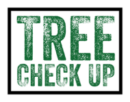 tree-check-up
