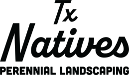 tx-natives-logo