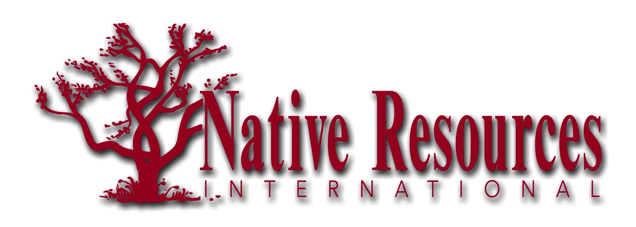 NRI logo