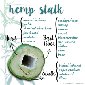 Hemp Stalk