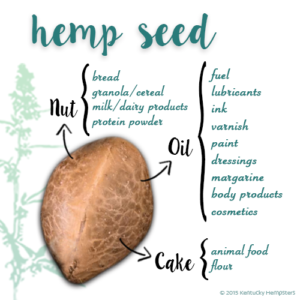 Hemp Seed Uses