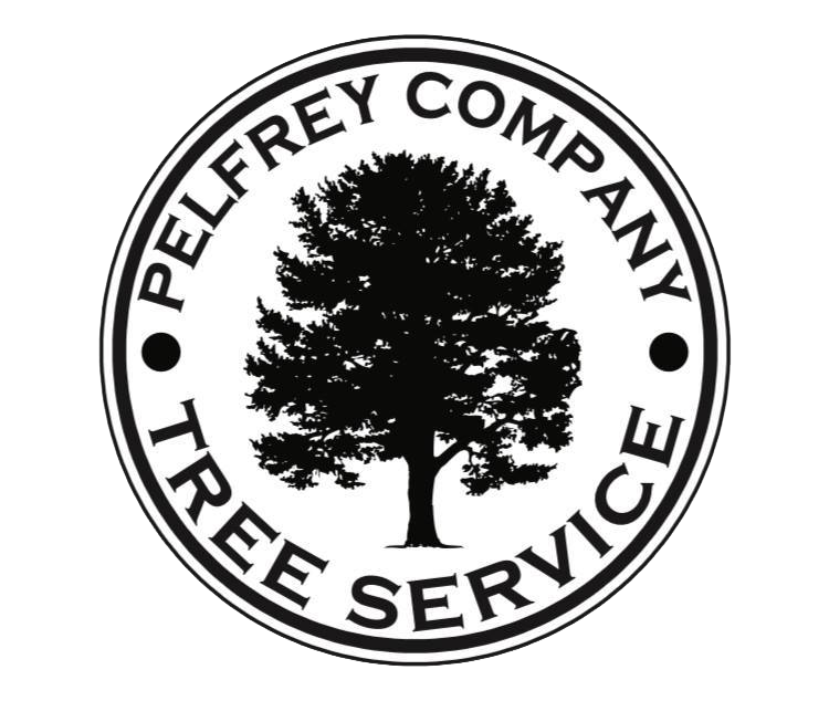 pelfrey-logo copy
