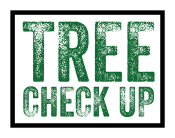 tree-check-up