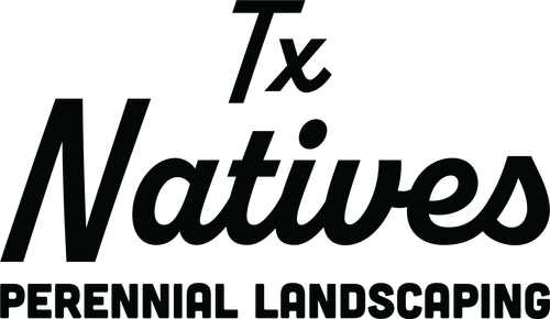 tx-natives-logo
