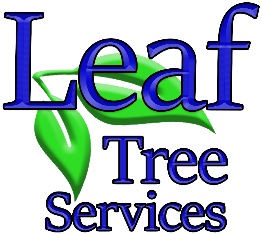 tree-care-services